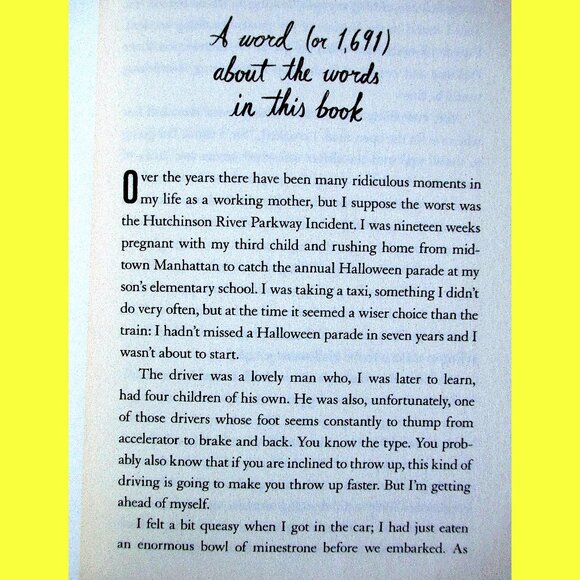 Book - Just Let Me Lie Down: Necessary Terms for the Half-Insane Working Mom - Picture 4 of 12